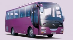 大巴客车 （26-55）座